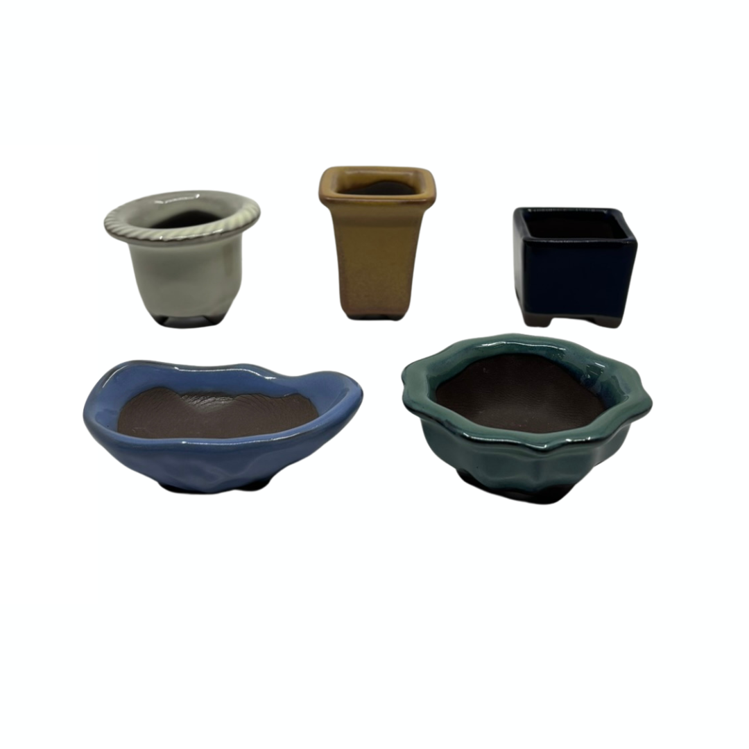Mame pot set van 5 (4-7cm breed)