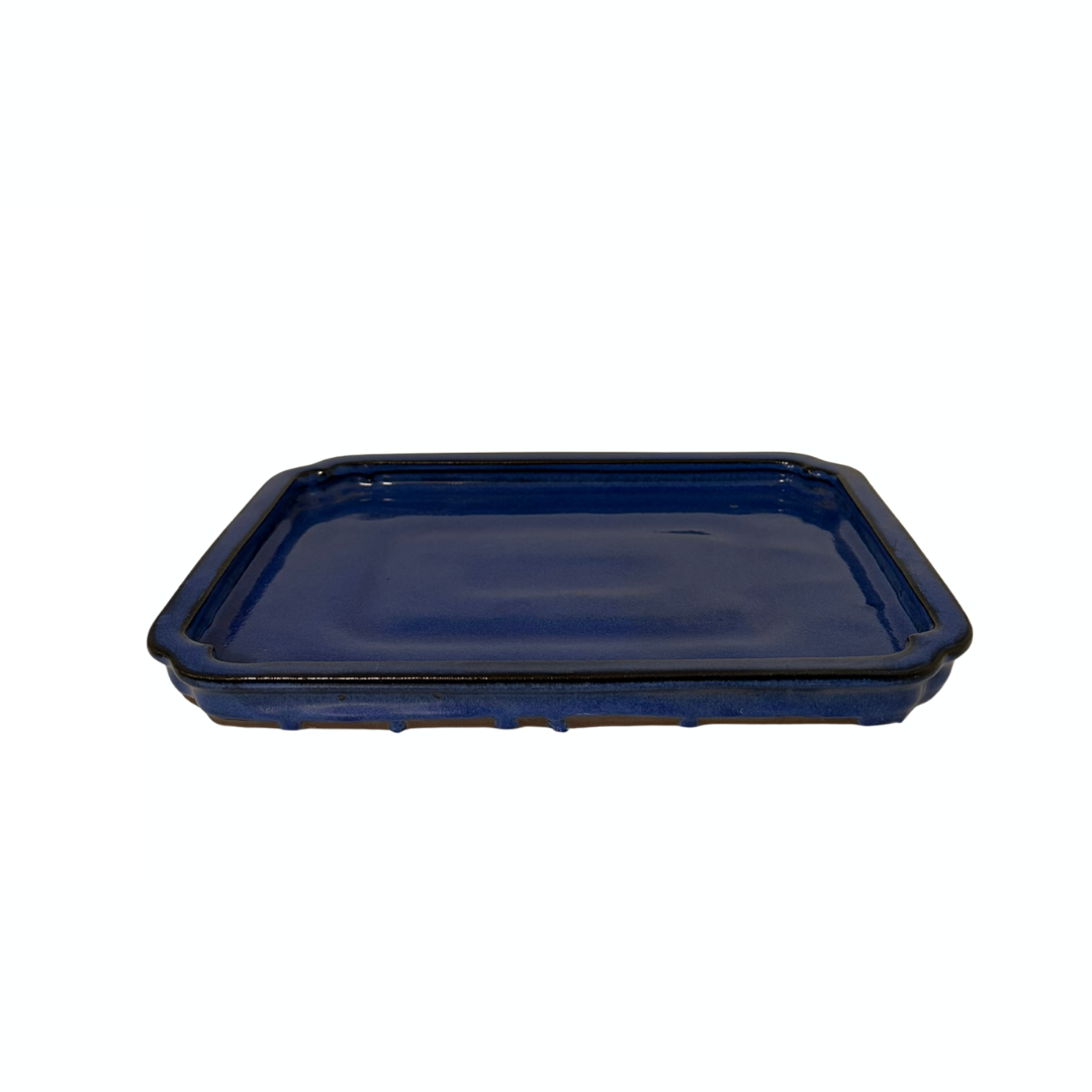 Soucoupe bonsaï rectangulaire bleue 30 cm