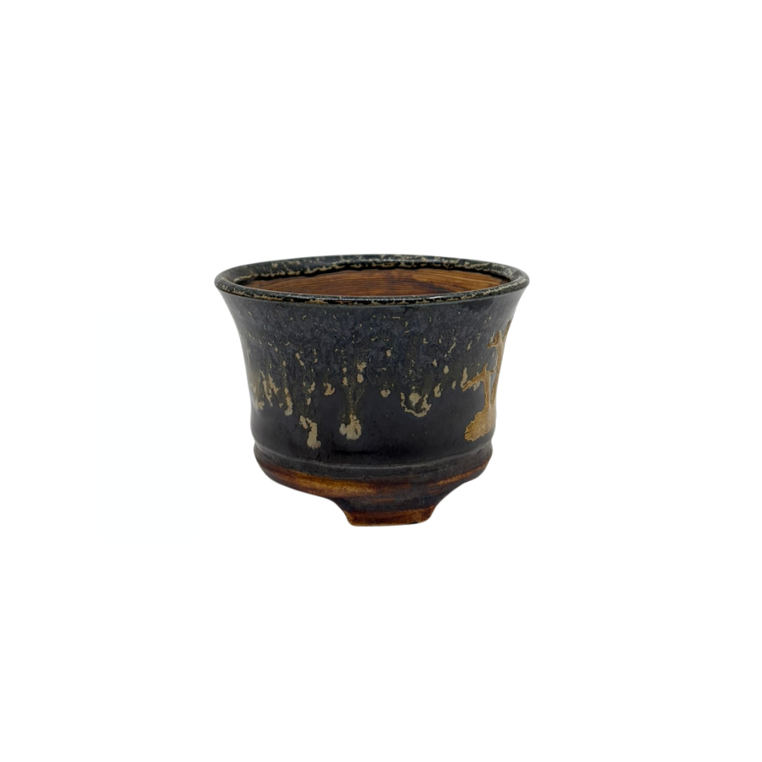 Pot à Bonsai Shohin noir et or René Lecocq 9cm