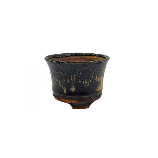 Pot à Bonsai Shohin noir et or René Lecocq 9cm