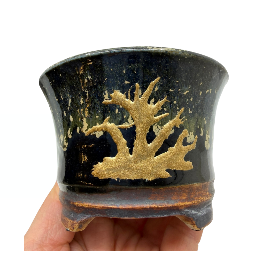 Pot à Bonsai Shohin noir et or René Lecocq 9cm