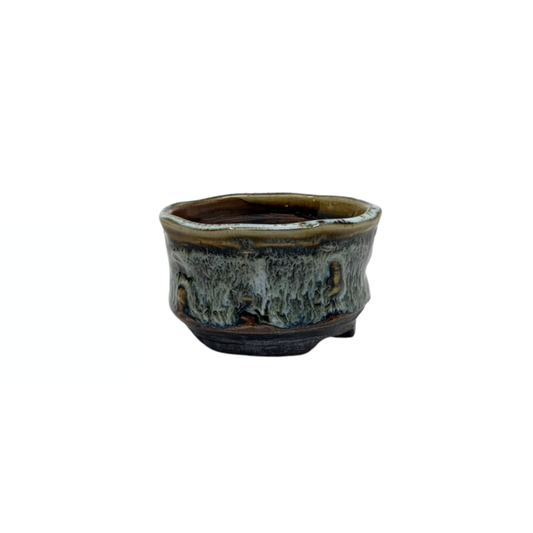 Pot Shohin Bonsai marron crème René Lecocq 9cm