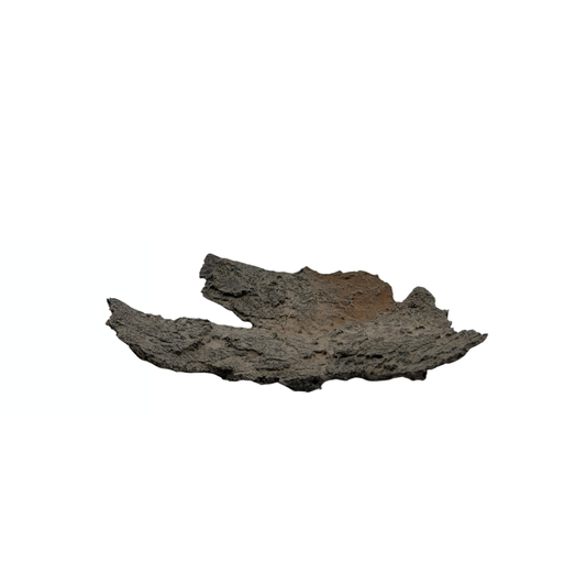 Soucoupe bonsaï grise avec des accents beiges 18cm