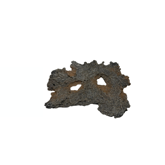 Bonsaï en dalle marron avec des accents rouille 16cm
