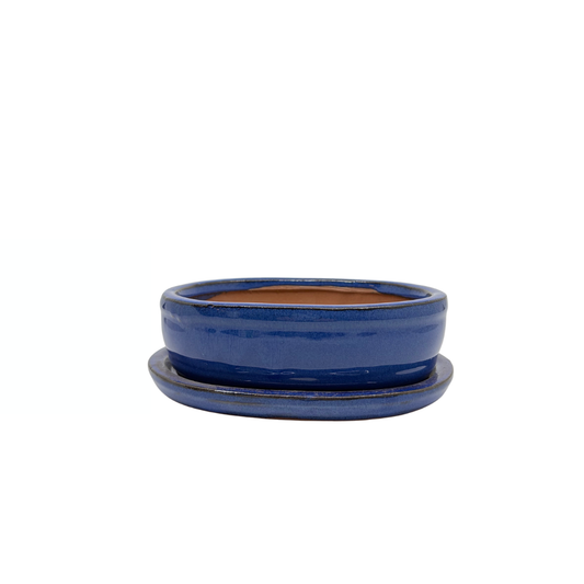 Pot à bonsaï ovale bleu 16 cm - lot