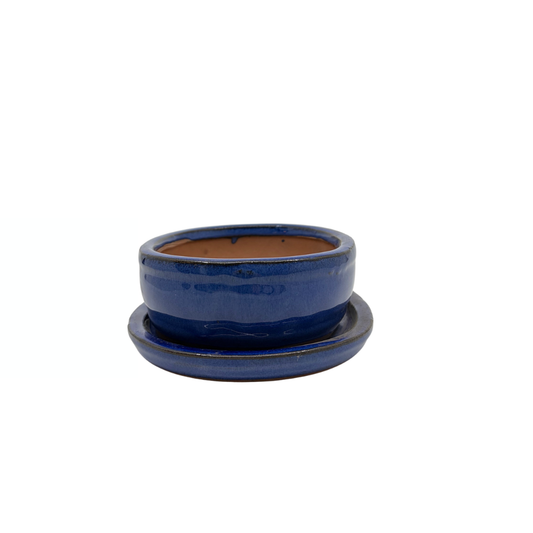 Pot à bonsaï ovale bleu 16 cm - lot