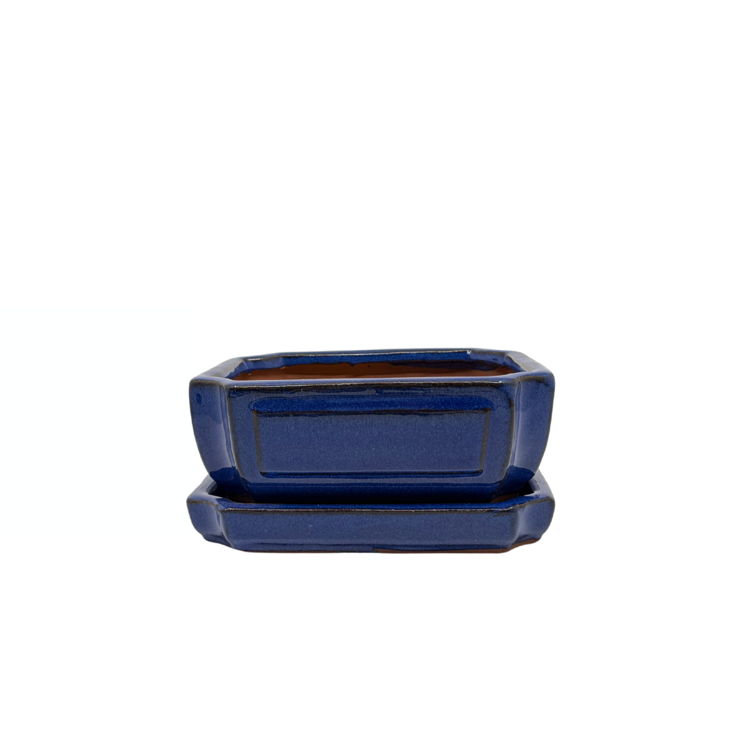 Bonsai pot blauw rechthoek 15cm - set