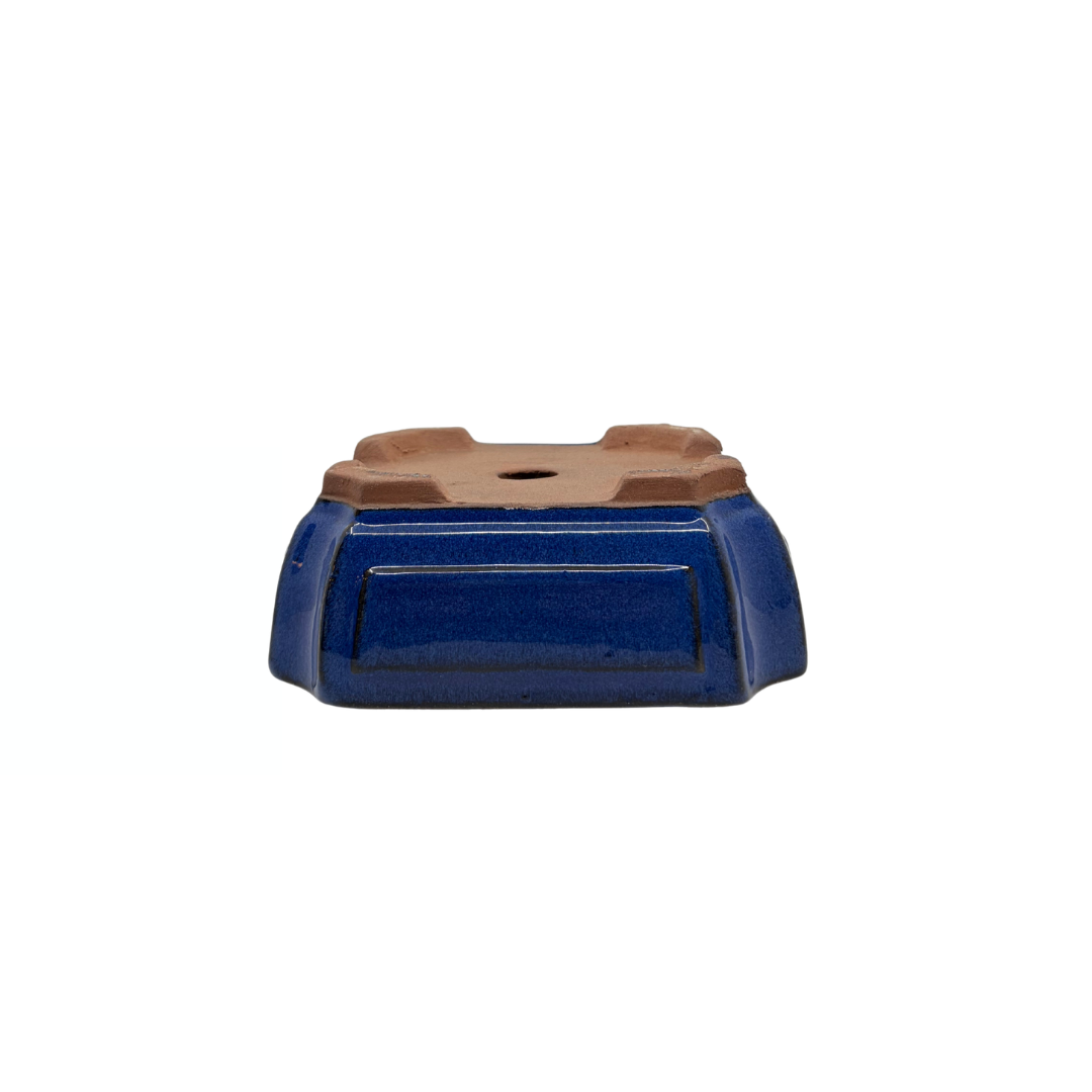 Bonsai pot blauw rechthoek 15cm - set