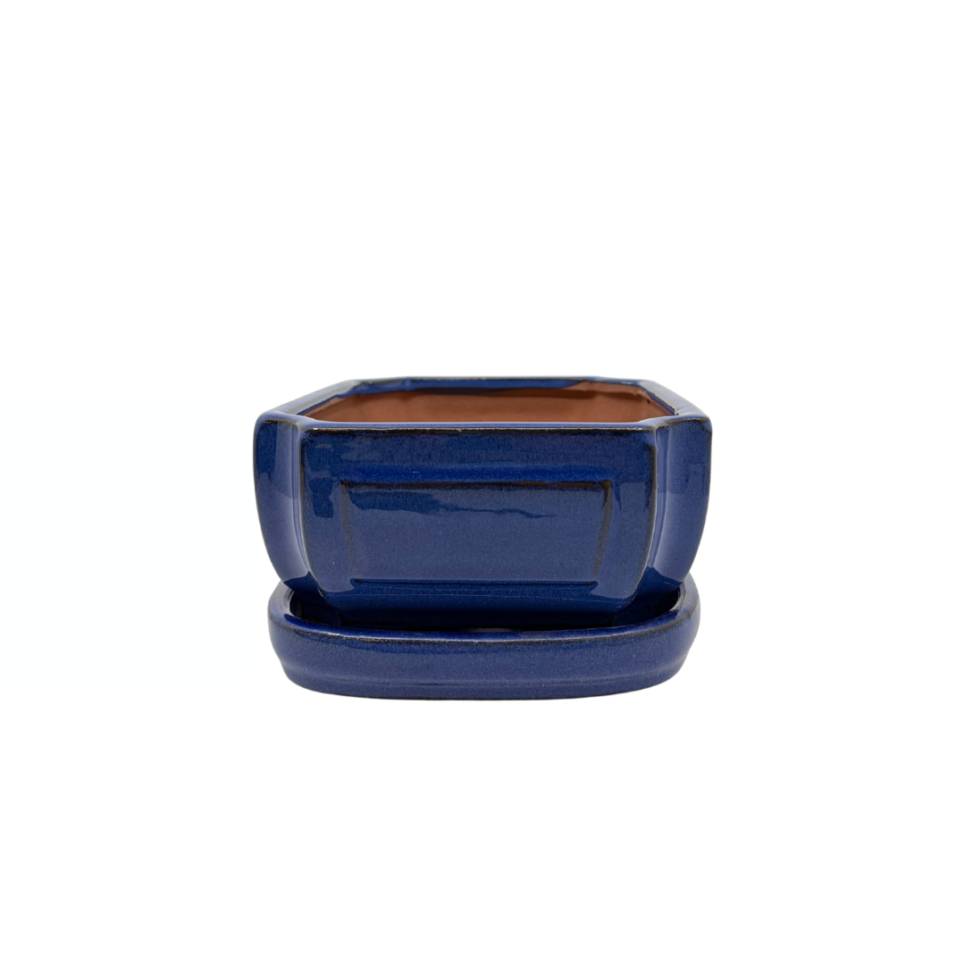 Bonsai pot blauw rechthoek 20cm - set