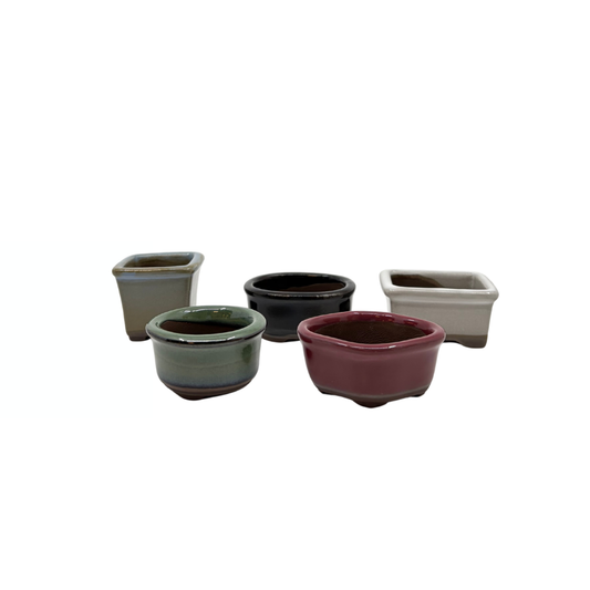 Ensemble de pots Mame (5)