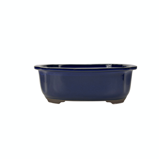 Pot à bonsaï bleu 24 cm