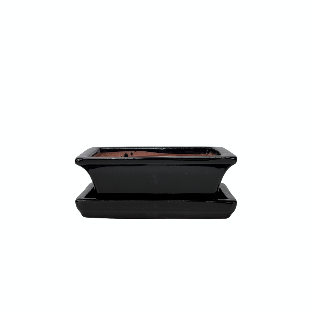 Pot à bonsaï noir rectangulaire 14 cm - lot