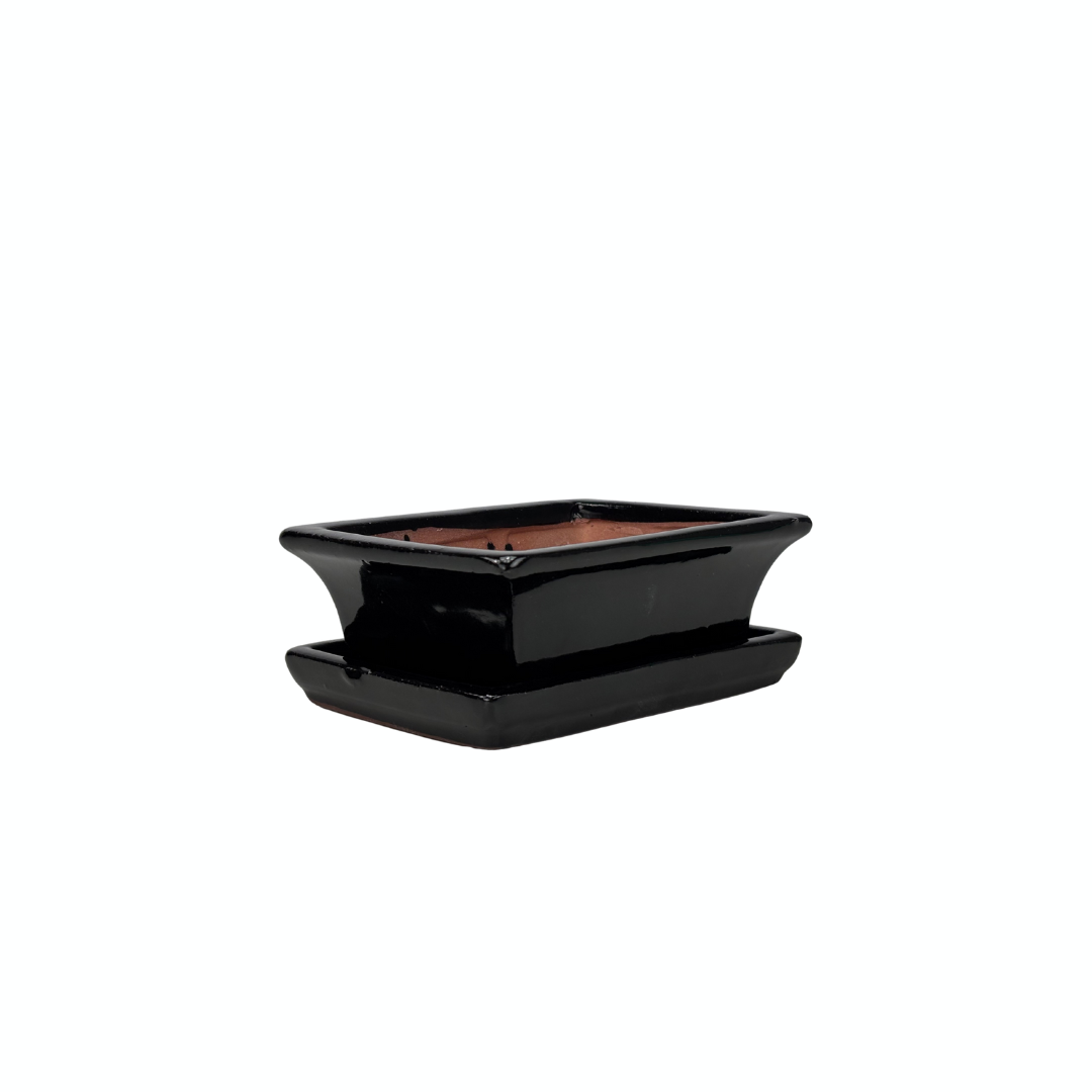 Pot à bonsaï rectangulaire noir 14 cm - lot
