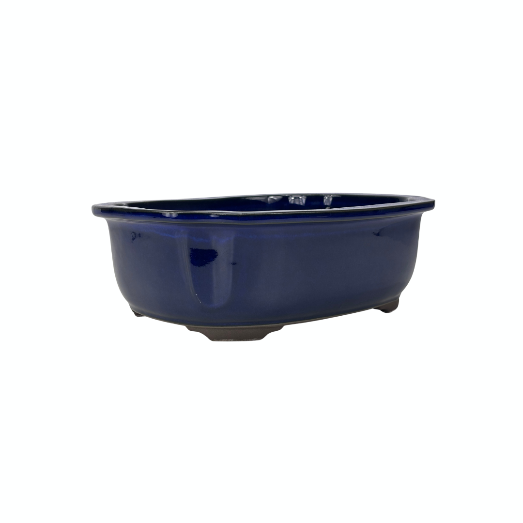 Pot à bonsaï bleu mokko 25 cm