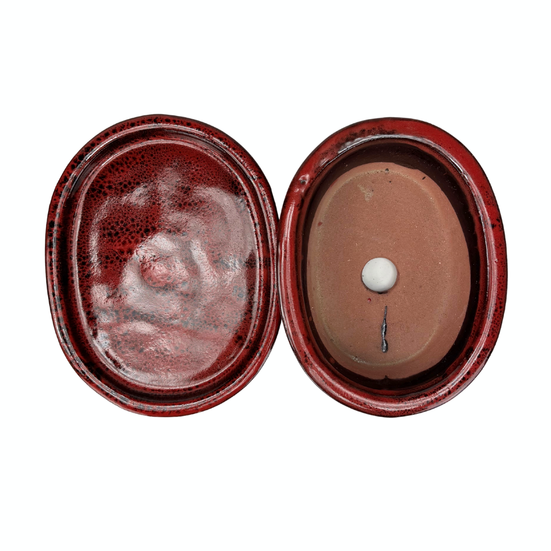 Pot à bonsaï ovale rouge 16 cm - ensemble