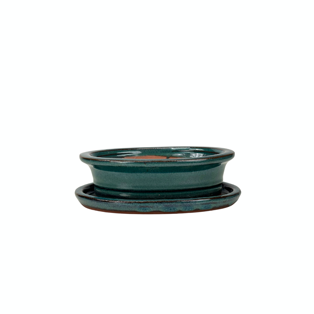 Pot à bonsaï ovale vert avec rebord 16 cm - lot