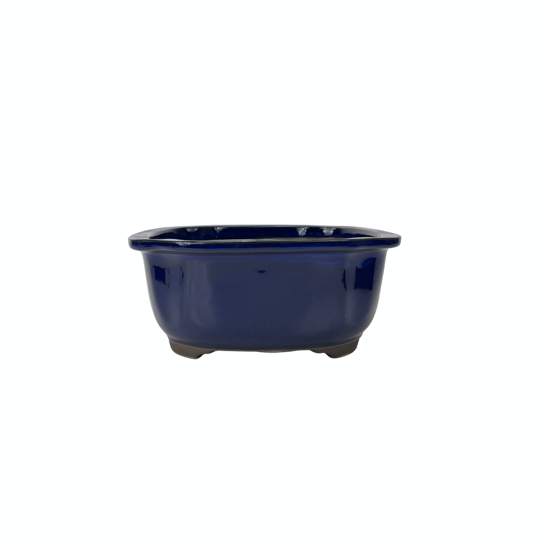 Pot à bonsaï bleu mokko 25 cm