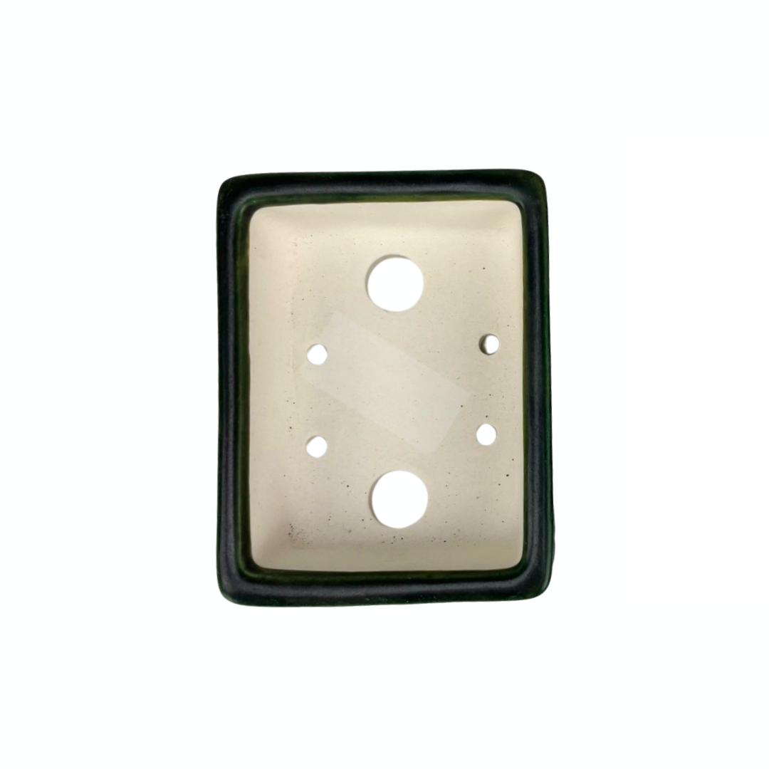 Pot à bonsaï - rectangulaire, émaillé, vert (10 cm de large)