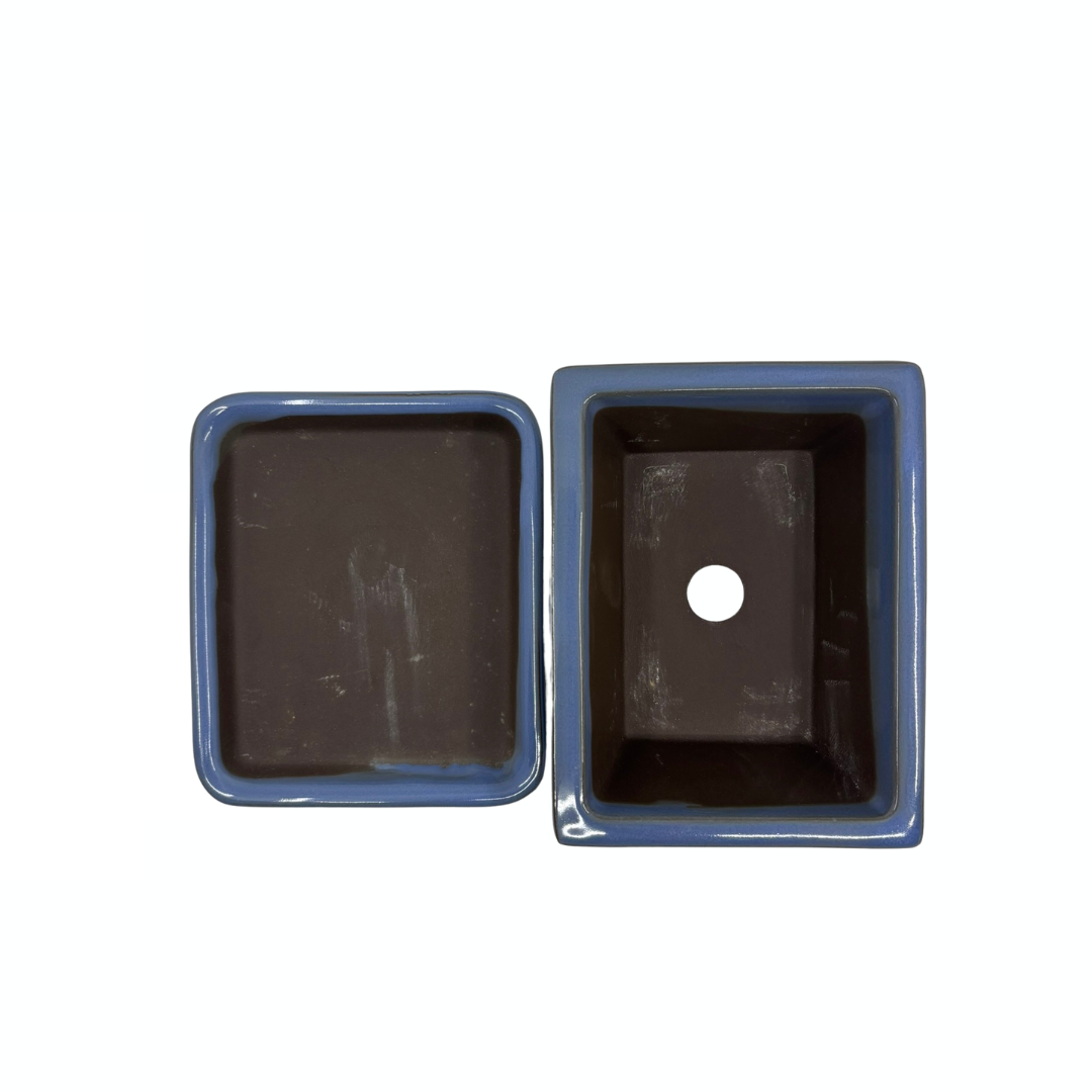 Ensemble de pots à bonsaï - rectangulaires, émaillés, bleu clair (14 cm de large)