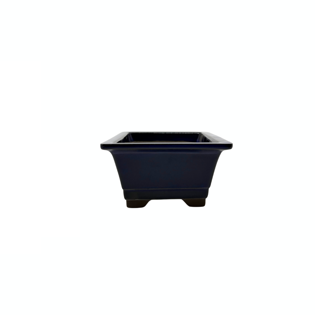 Ensemble de pots à bonsaï - rectangulaires, émaillés, bleus (14 cm de large)