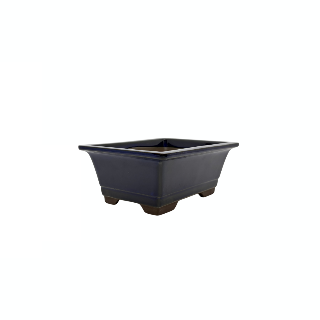Ensemble de pots à bonsaï - rectangulaires, émaillés, bleus (14 cm de large)