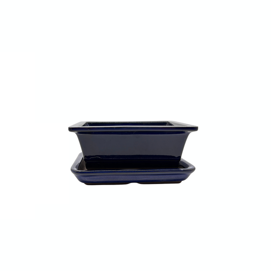 Ensemble de pots à bonsaï - rectangulaires, émaillés, bleus (14 cm de large)