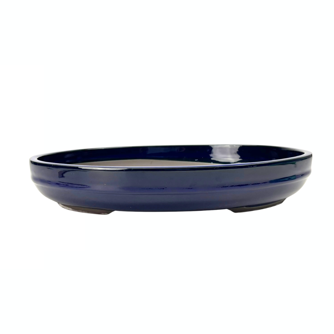 Pot à bonsaï - ovale, émaillé, bleu (41 cm de large)