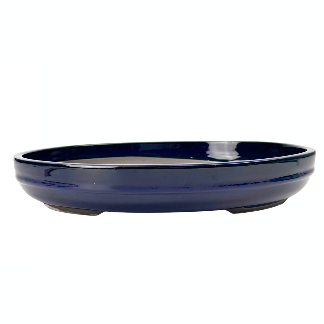 Pot à bonsaï - ovale, émaillé, bleu (47 cm de large)
