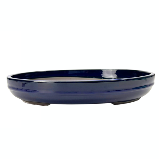 Pot à bonsaï - ovale, émaillé, bleu (47 cm de large)