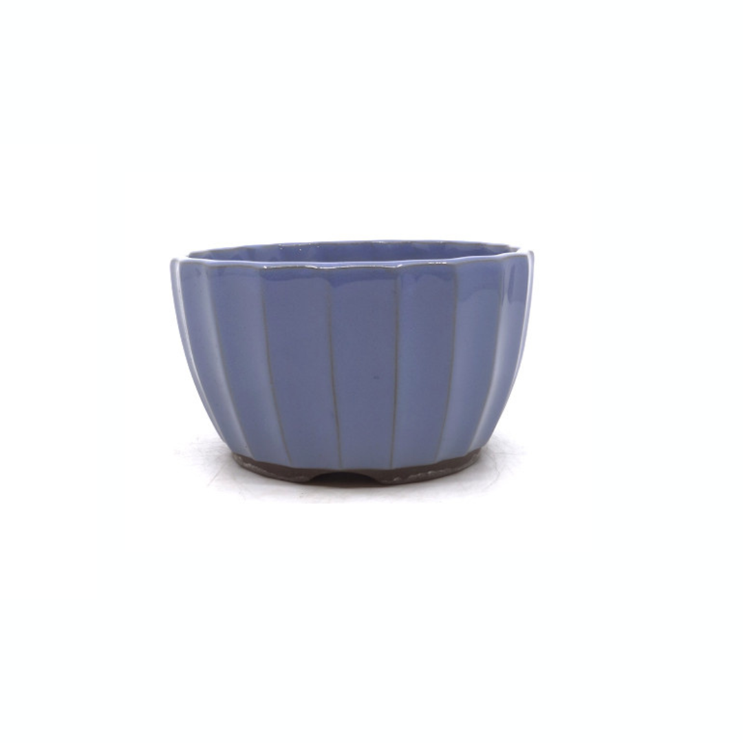 Pot à bonsaï bleu clair chrysanthèmes 15 cm