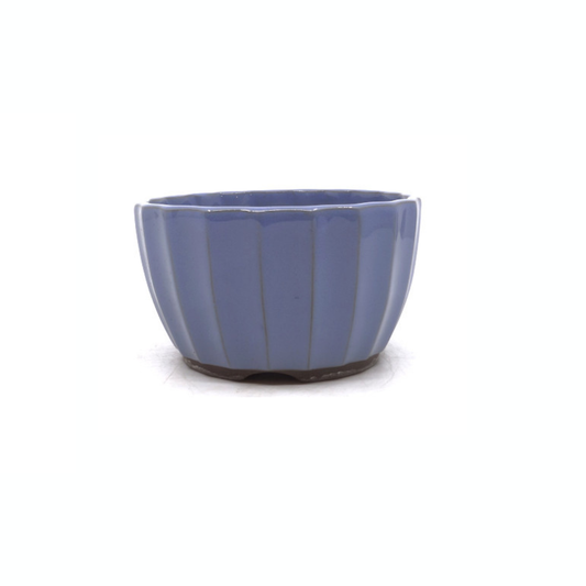 Pot à bonsaï bleu clair chrysanthèmes 15 cm