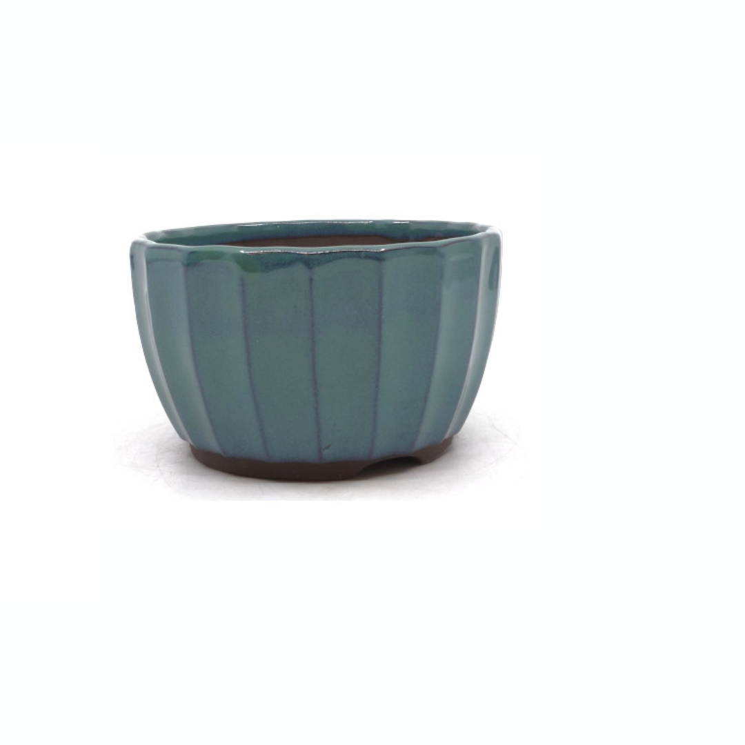 Pot à bonsaï vert chrysanthèmes 15 cm