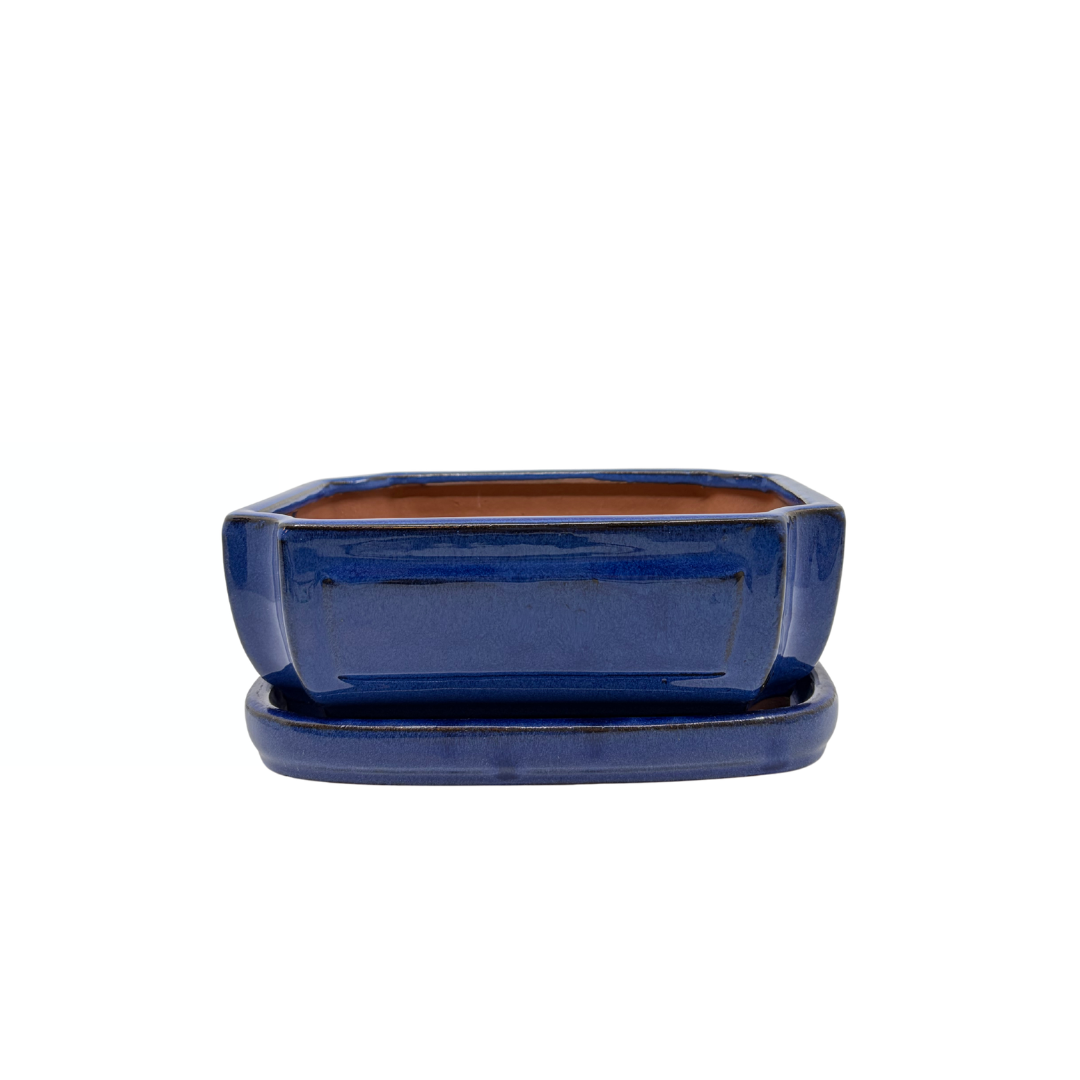 Bonsai pot blauw rechthoek 20cm - set