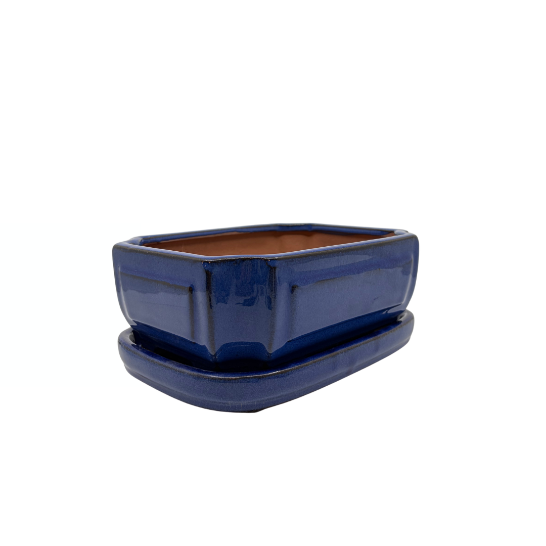 Bonsai pot blauw rechthoek 20cm - set