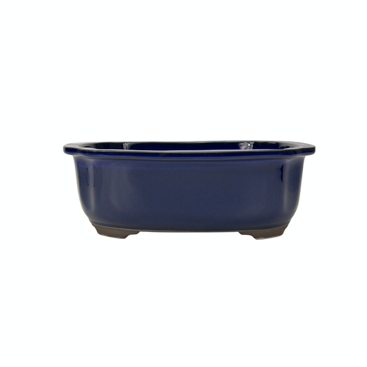 Pot à bonsaï mokko bleu 28 cm