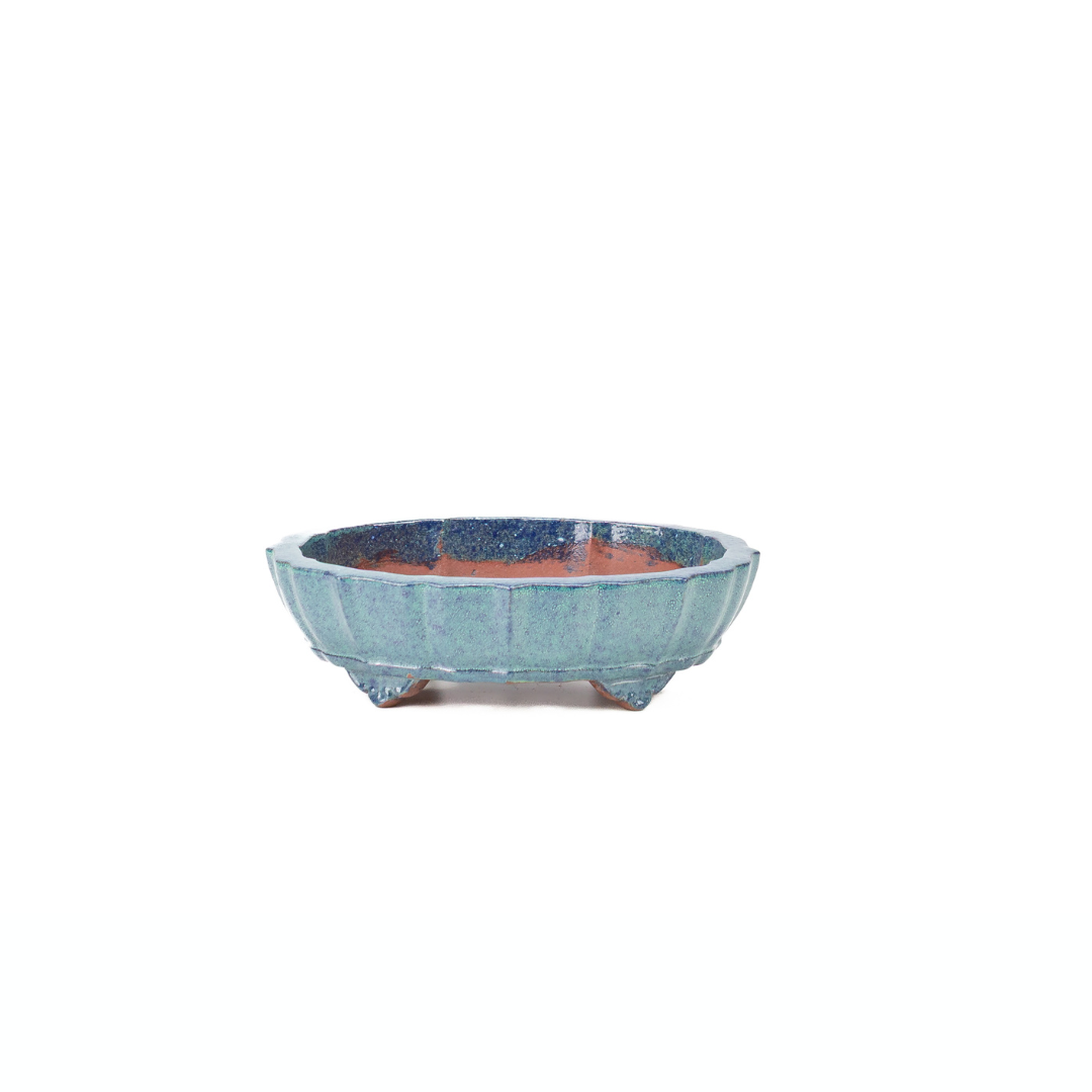 Pot à bonsaï bleu vert chrysanthème 17 cm