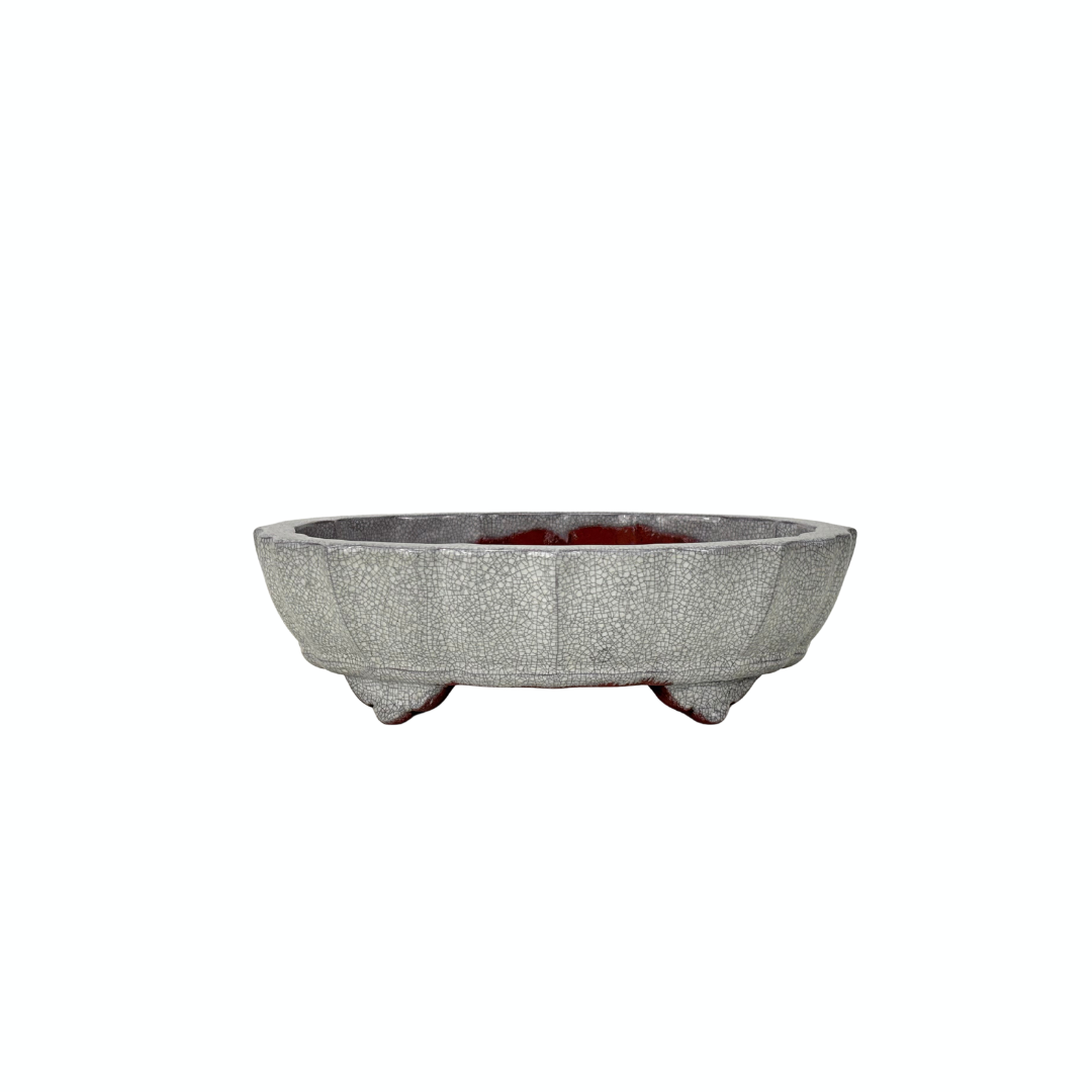 Pot à bonsaï blanc gris craquelé chrysanthème 17 cm