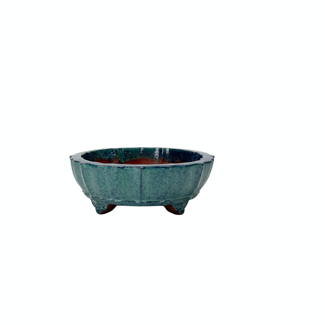 Pot à bonsaï bleu vert chrysanthème 17 cm