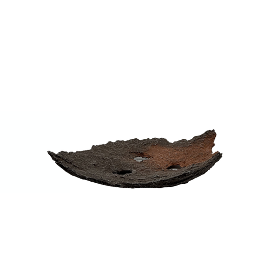 Soucoupe bonsaï marron à accents rouges 26cm