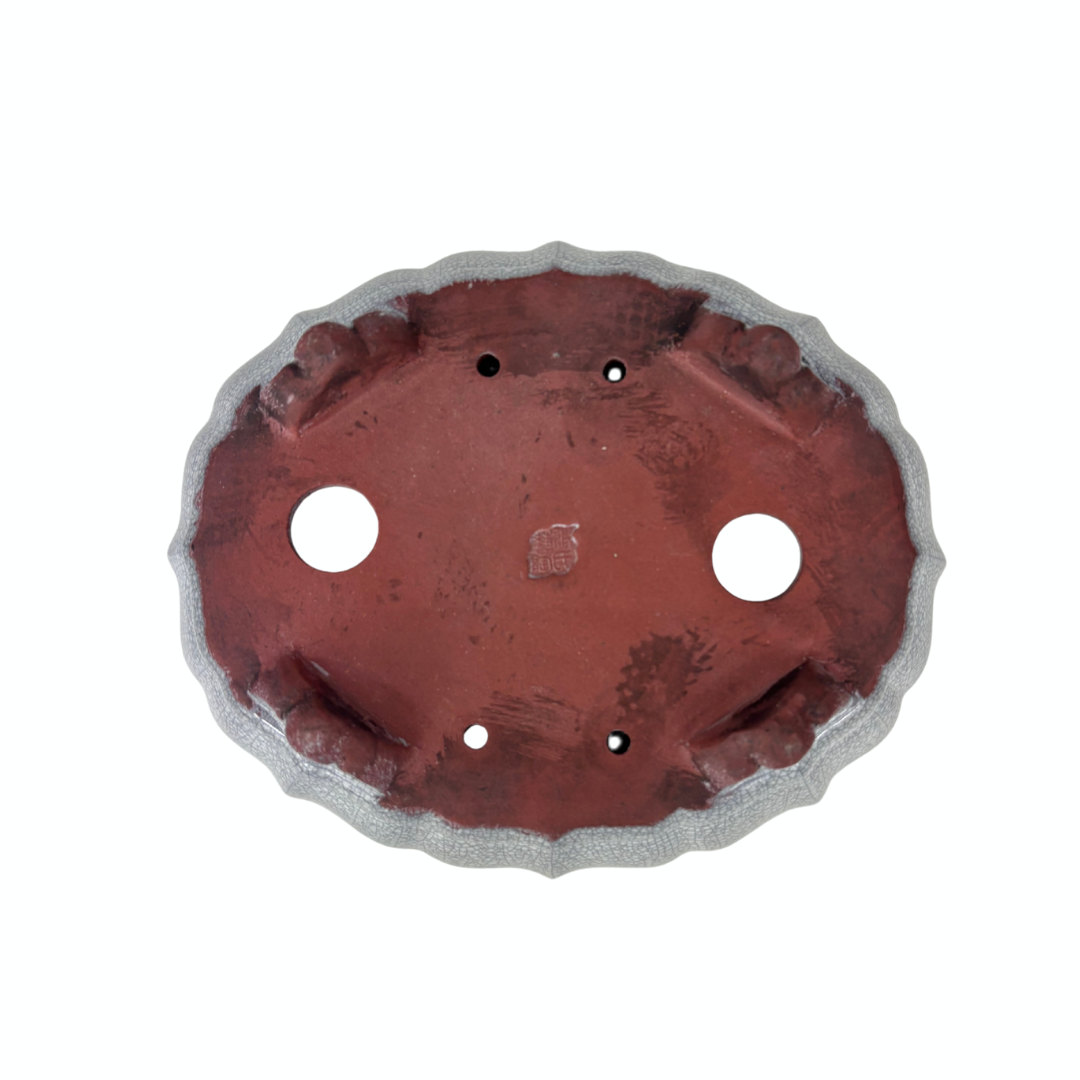 Pot à bonsaï blanc gris craquelé chrysanthème 17 cm