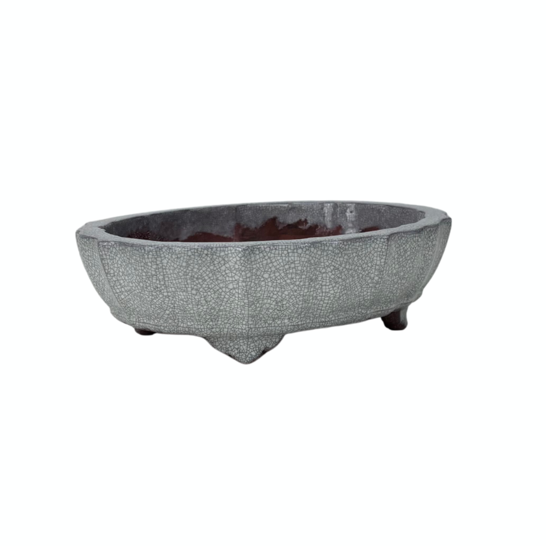 Pot à bonsaï blanc gris craquelé chrysanthème 17 cm
