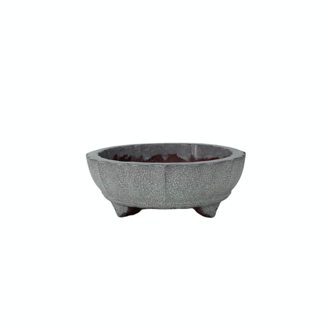 Pot à bonsaï blanc gris craquelé chrysanthème 17 cm
