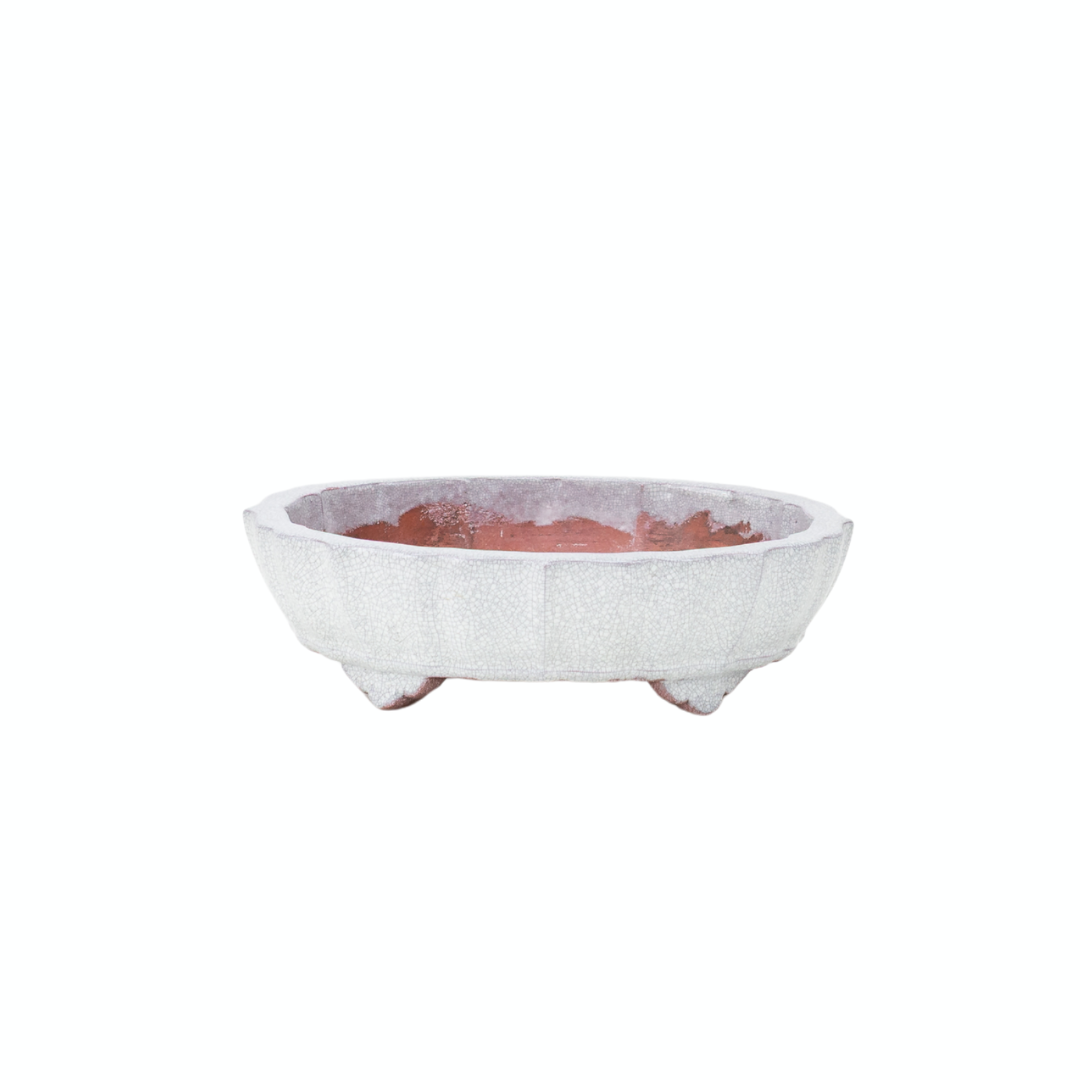 Pot à bonsaï blanc gris craquelé chrysanthème 17 cm
