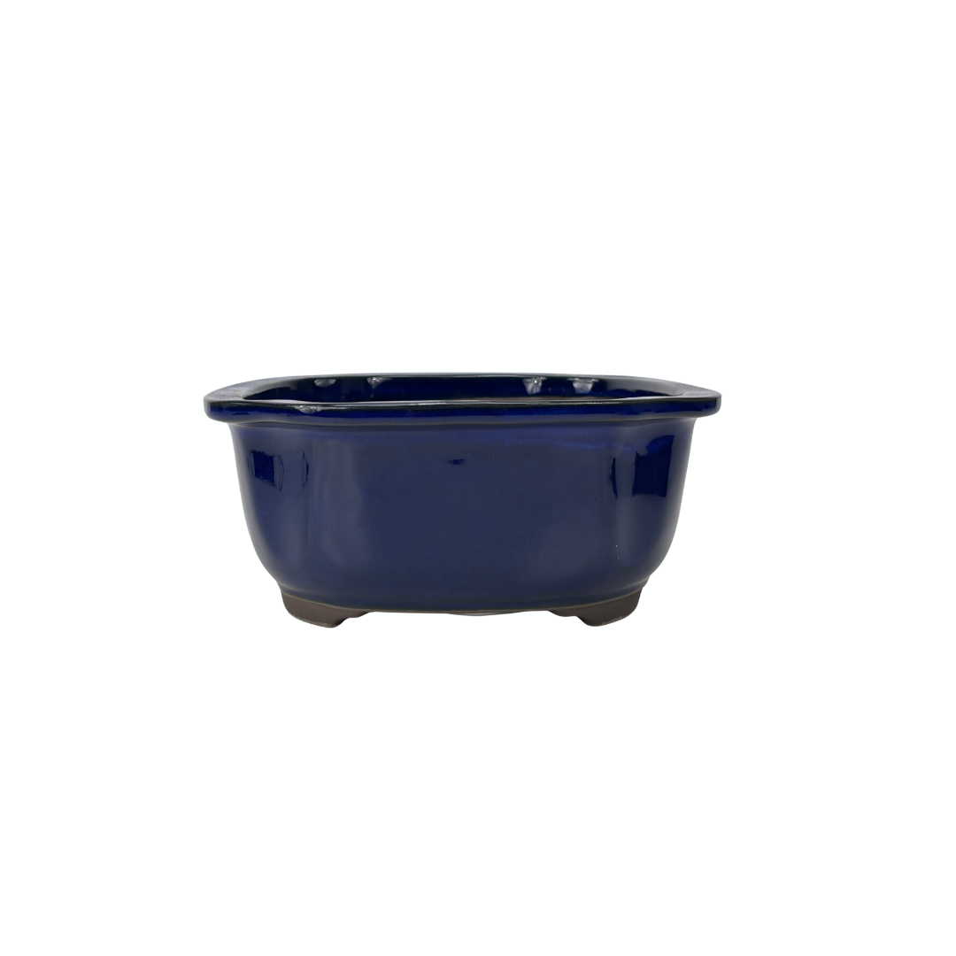Pot à bonsaï mokko bleu 28 cm