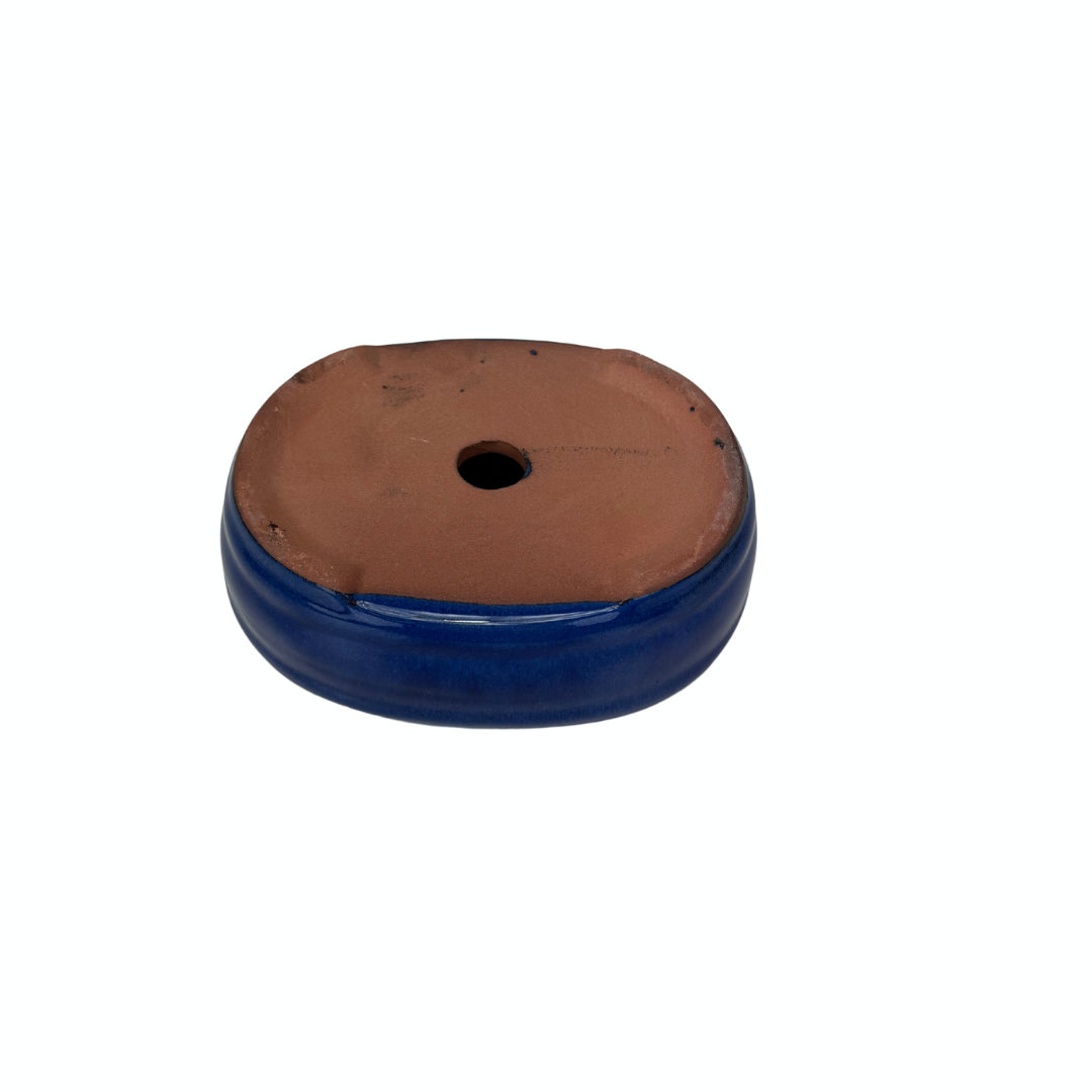 Pot à bonsaï ovale bleu foncé 16 cm - ensemble