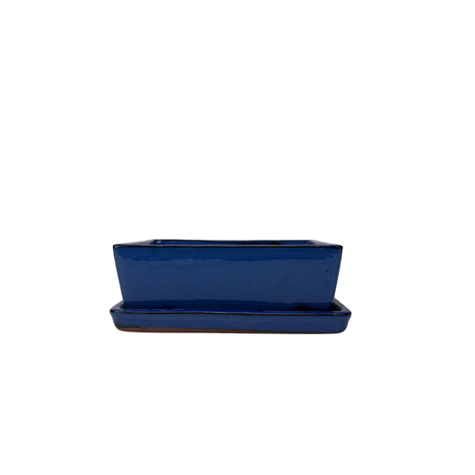 Pot à bonsaï rectangulaire bleu 15 cm - lot
