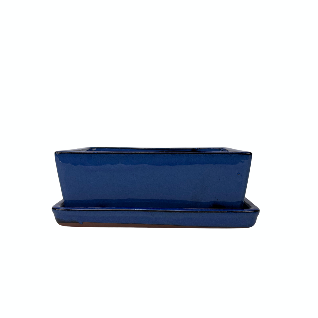 Pot à bonsaï rectangulaire bleu 24 cm - ensemble