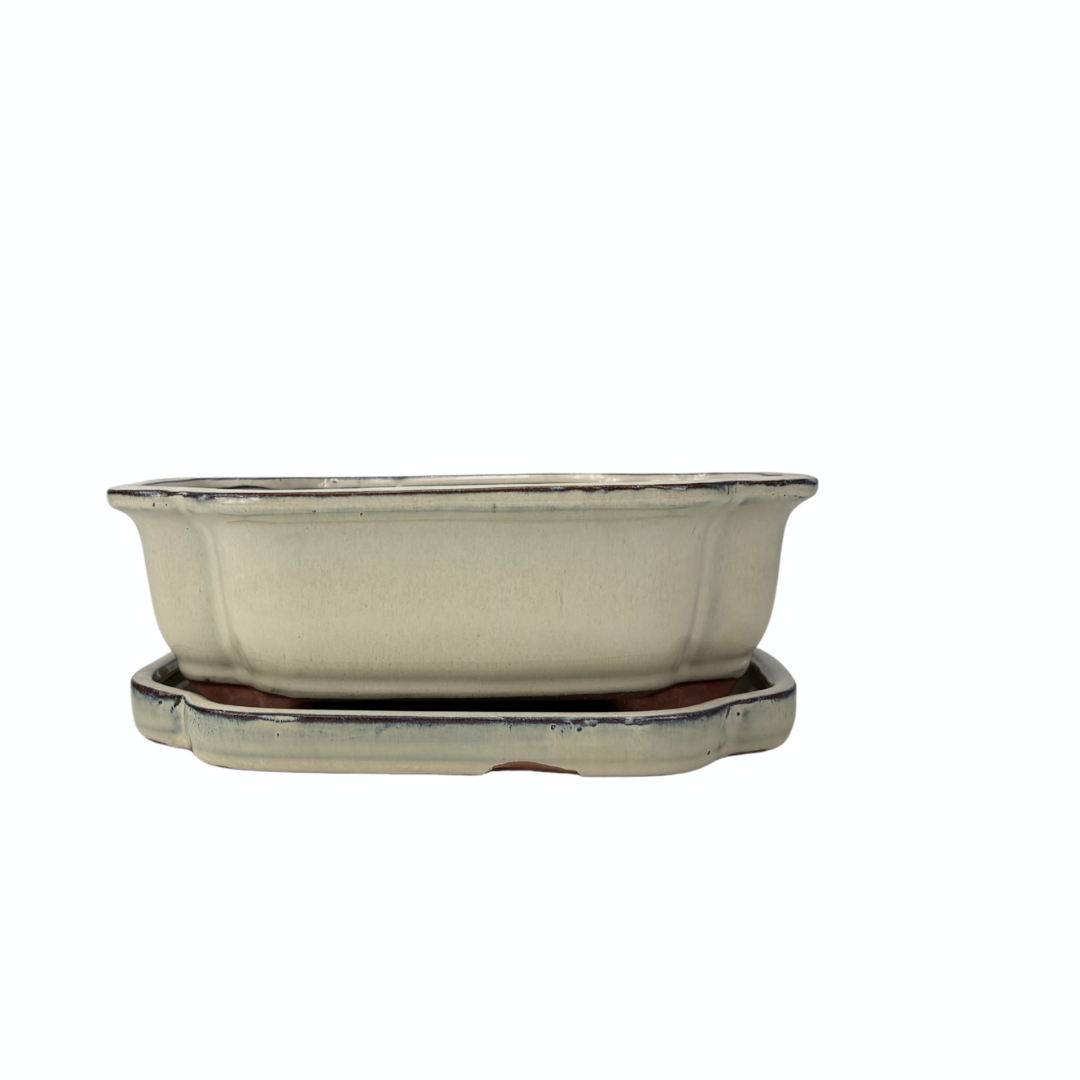 Pot à bonsaï crème mokko 26 cm - lot