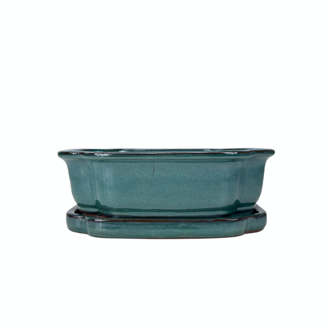Pot à bonsaï vert mokko 26 cm - lot