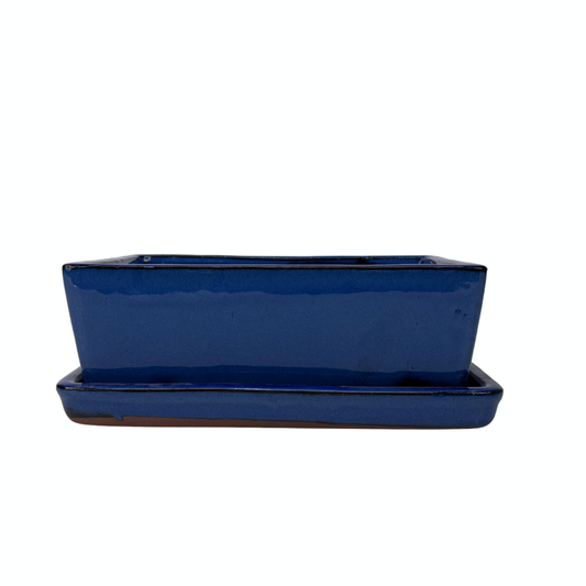 Pot à bonsaï rectangulaire bleu 30 cm - ensemble